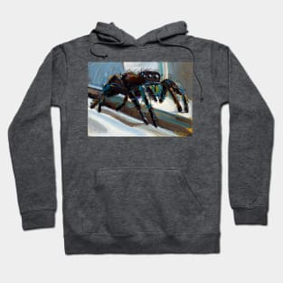 Psychedelic Jumping Spider by Robert Phelps Hoodie